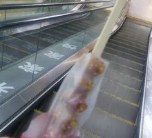 Braised Lotus Root with Rock Sugar