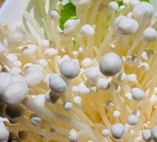 Enoki Mushroom