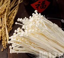 Enoki Mushroom