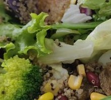 Vegetarian Quinoa Salad