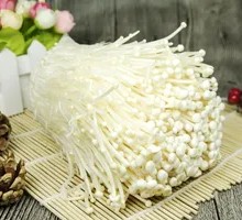 Enoki Mushroom