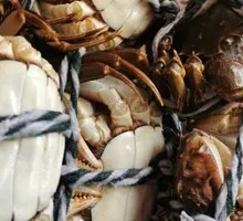 Premium Freshwater Crab Gift Box (8 Large Female Crabs)