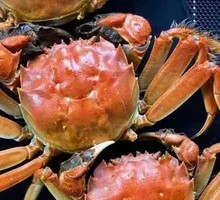 Yangcheng Lake Crab Gift Box (4 Pairs)