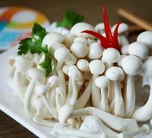 White Cloud Mushroom