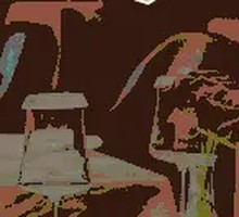 Australian Angus Grain-Fed M5 Filet