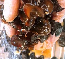Northeast Black Fungus
