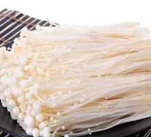 Enoki Mushroom