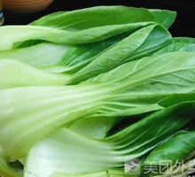 Chinese cabbage
