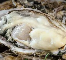 Garlic Steamed Sea Oyster from Rushan