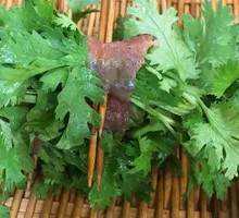 Cilantro-Wrapped Beef