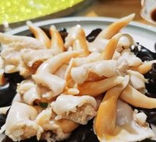 白灼鸟贝