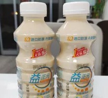 Yizhengyuan Lactic Acid Bacteria
