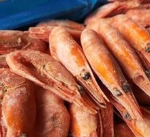 Arctic Sweet Shrimp