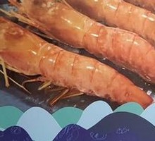 Argentine Red Shrimp