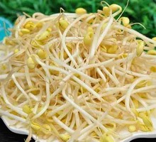 Bean sprouts