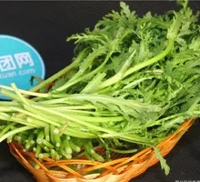 Chinese chrysanthemum greens