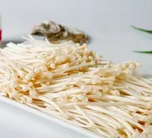 Enoki Mushroom