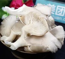 Enoki Mushroom