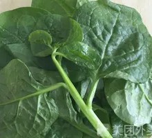 Black fungus vegetable