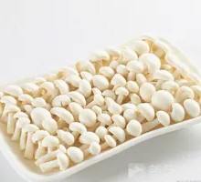 White Cloud Mushroom