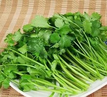 Cilantro