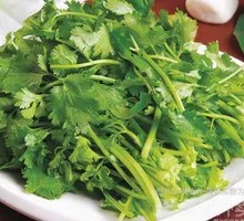 Cilantro