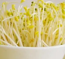 Mung Bean Sprouts
