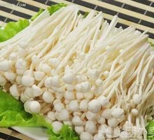 Enoki Mushroom