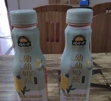 Wahaha Kids Milk Tea