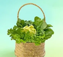 Basket of Fresh Vegetables