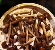 Yunnan Air-Freighted Chicken of the Woods