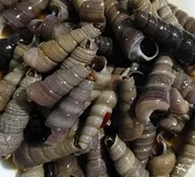 Spicy Snail Stir-fry