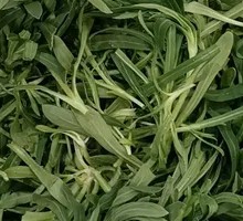 Hometown Spinach Noodles