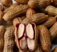 Boiled Peanuts