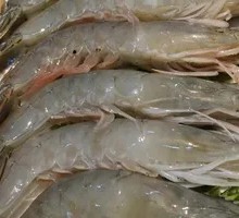 Freshly Caught Large Shrimp