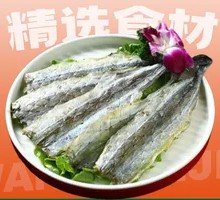 Horse Mackerel