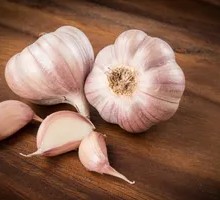 Garlic Clove