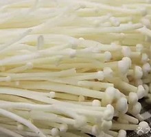 Enoki Mushroom