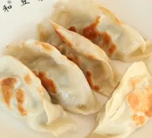 Pan-Fried Dumplings