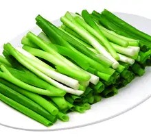 Scallion