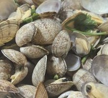 Steamed Clams in Original Flavor