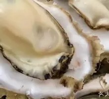 Large Oyster