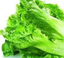 Lettuce