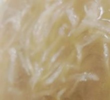 Pork Rib Soup with Radish Strips