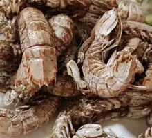 Salt and Pepper Prawn