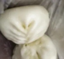 Chinese Pork and Cabbage Dumplings