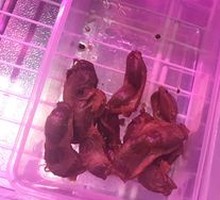 Five-Spice Duck Gizzard