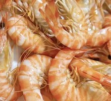 Boiled Shrimp in Salt Water