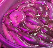 Sea Intestine