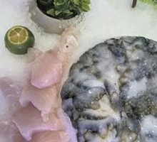 Sea Cucumber Sashimi